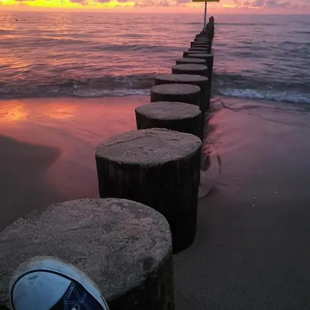 Goscinny Dom Kaola 홈스테이 레왈