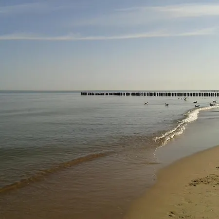 Goscinny Dom Kaola Rewal