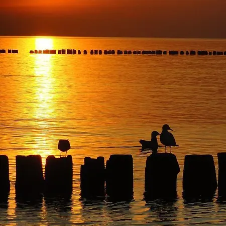 Homestay Goscinny Dom Kaola *