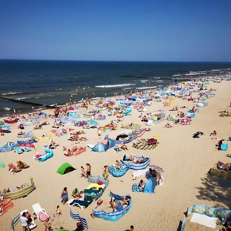 Goscinny Dom Kaola 民宿 *