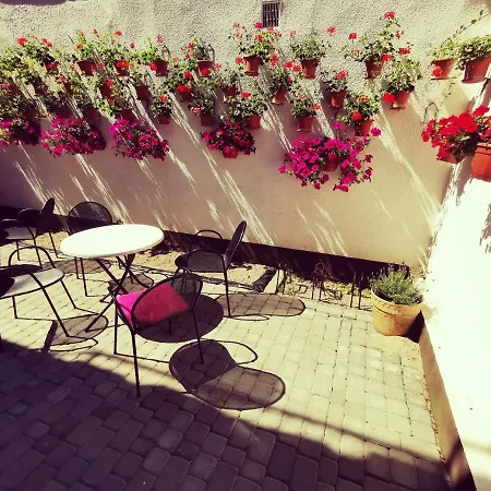 Goscinny Dom Kaola 民宿 里沃