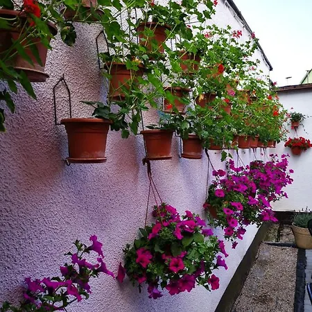 Privat bolig Goscinny Dom Kaola Rewal