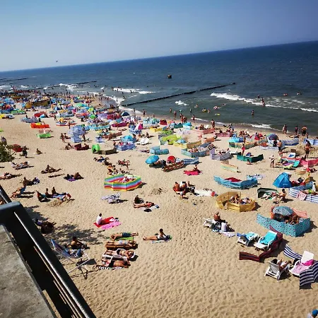 홈스테이 Goscinny Dom Kaola *