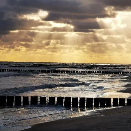 Goscinny Dom Kaola 홈스테이 레왈