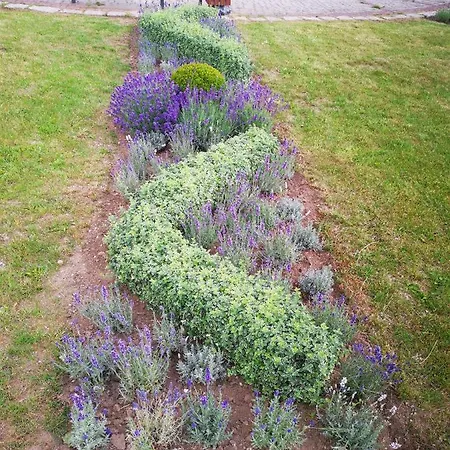 Goscinny Dom Kaola Rewal