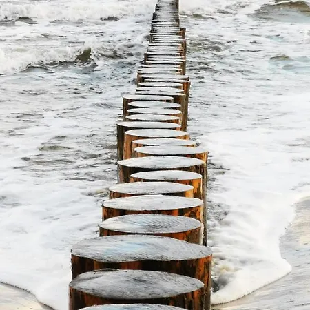 홈스테이 Goscinny Dom Kaola 레왈