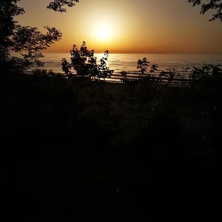 Goscinny Dom Kaola Rewal