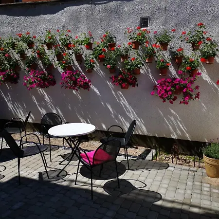 Goscinny Dom Kaola Homestay Rewal