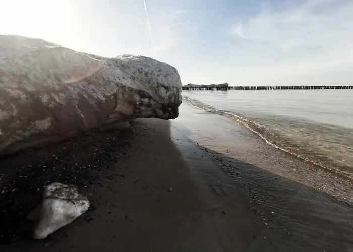 Goscinny Dom Kaola *