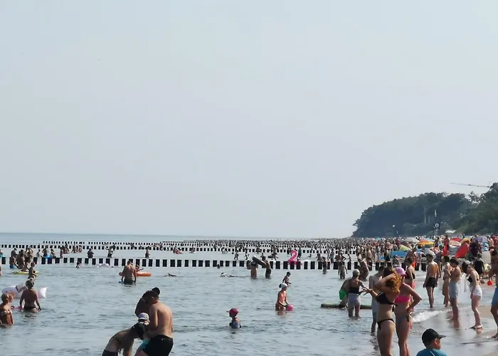 Goscinny Dom Kaola Accommodatie bij particulieren