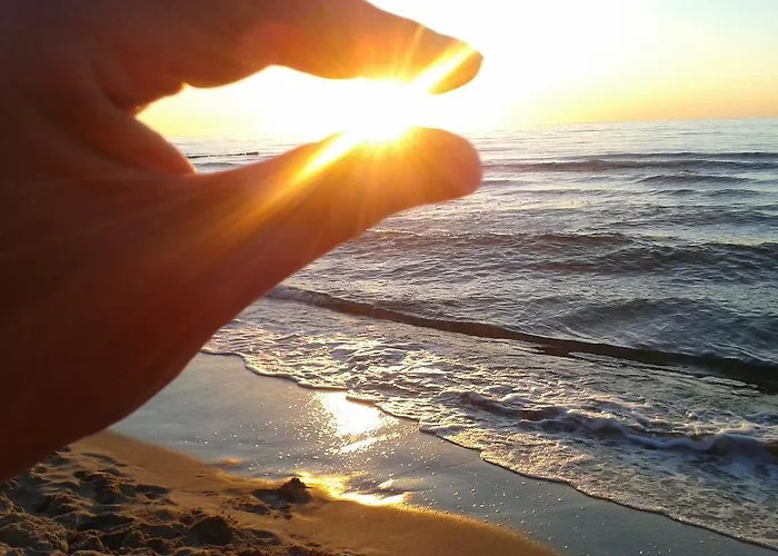 홈스테이 Goscinny Dom Kaola 레왈