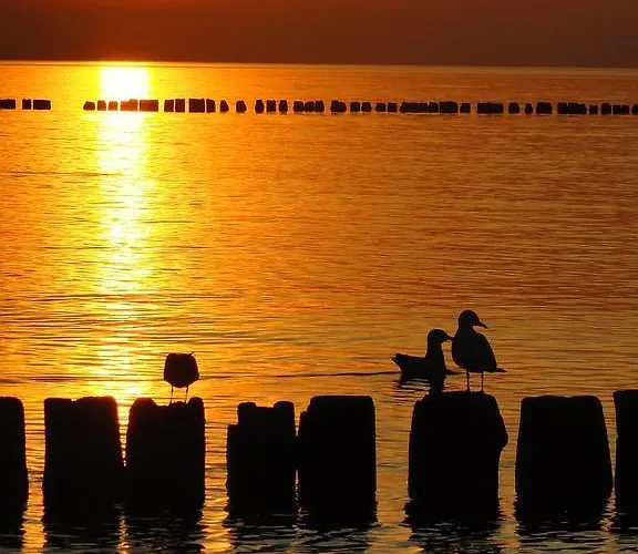 Accommodatie bij particulieren Goscinny Dom Kaola *