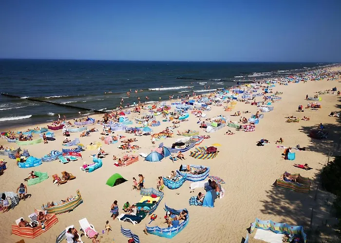 Goscinny Dom Kaola Accommodatie bij particulieren *