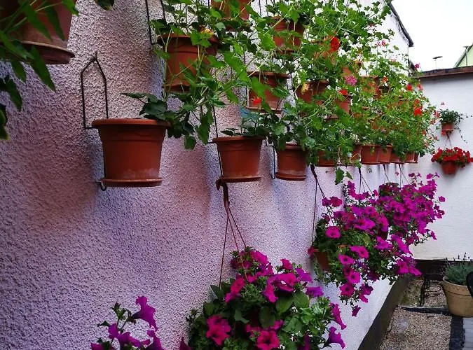 Homestay szállás Goscinny Dom Kaola Rewal