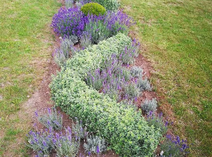 Goscinny Dom Kaola Rewal