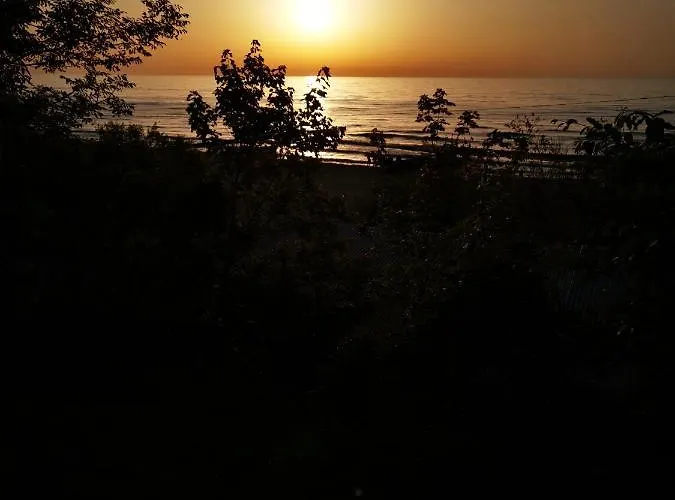 Goscinny Dom Kaola Rewal